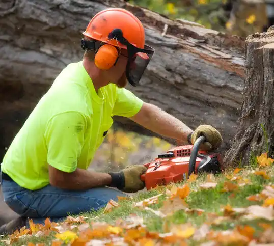 tree services Liberty Center